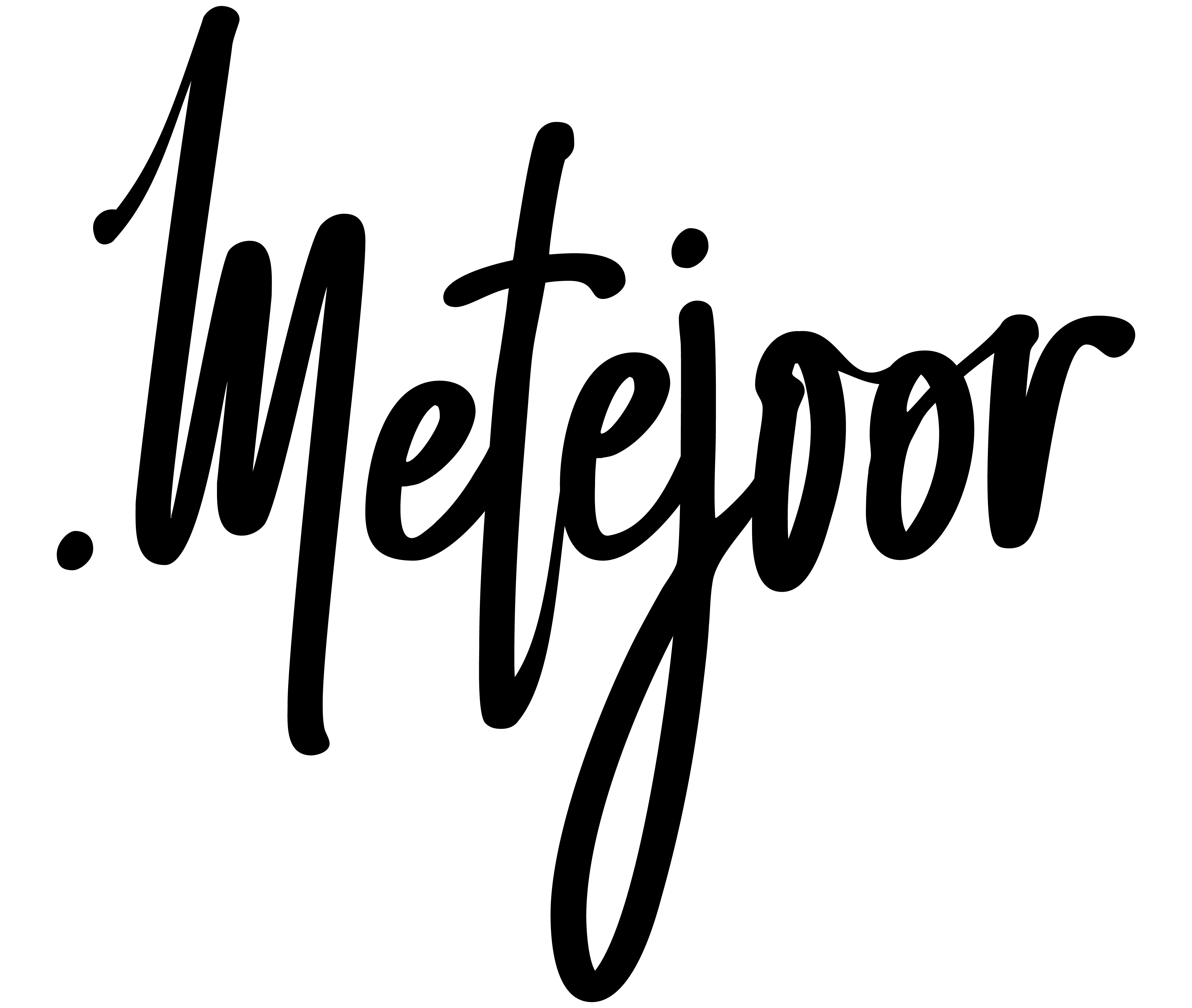 Logo Metejoor_Tekengebied 1